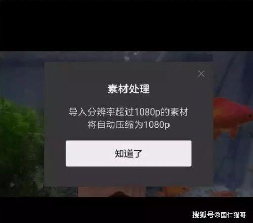 剪映独家爆料怎么做视频,视频生成新技巧大公开 第1张 剪映独家爆料怎么做视频,视频生成新技巧大公开 第1张