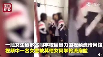 东北女孩爆料视频播放网站,热门视频网站背后的秘密  第3张